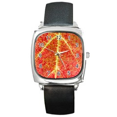 Plant Vineyard Wine Sunlight Texture Leaf Pattern Green Red Color Macro Autumn Circle Vein Sunny  Square Metal Watch by Vaneshart