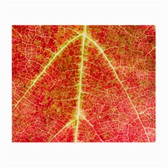 Plant Vineyard Wine Sunlight Texture Leaf Pattern Green Red Color Macro Autumn Circle Vein Sunny  Small Glasses Cloth by Vaneshart