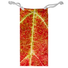 Plant Vineyard Wine Sunlight Texture Leaf Pattern Green Red Color Macro Autumn Circle Vein Sunny  Jewelry Bag by Vaneshart