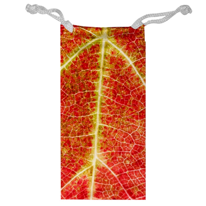 Plant Vineyard Wine Sunlight Texture Leaf Pattern Green Red Color Macro Autumn Circle Vein Sunny  Jewelry Bag