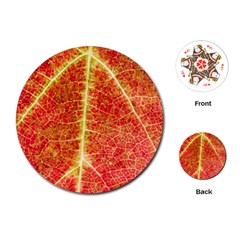 Plant Vineyard Wine Sunlight Texture Leaf Pattern Green Red Color Macro Autumn Circle Vein Sunny  Playing Cards Single Design (round) by Vaneshart