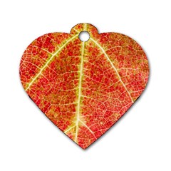 Plant Vineyard Wine Sunlight Texture Leaf Pattern Green Red Color Macro Autumn Circle Vein Sunny  Dog Tag Heart (one Side) by Vaneshart