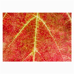 Plant Vineyard Wine Sunlight Texture Leaf Pattern Green Red Color Macro Autumn Circle Vein Sunny  Large Glasses Cloth by Vaneshart