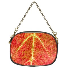 Plant Vineyard Wine Sunlight Texture Leaf Pattern Green Red Color Macro Autumn Circle Vein Sunny  Chain Purse (two Sides) by Vaneshart