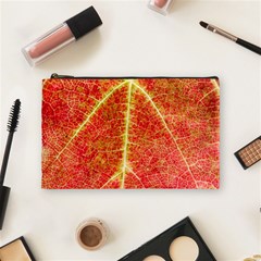 Plant Vineyard Wine Sunlight Texture Leaf Pattern Green Red Color Macro Autumn Circle Vein Sunny  Cosmetic Bag (medium) by Vaneshart