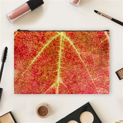 Plant Vineyard Wine Sunlight Texture Leaf Pattern Green Red Color Macro Autumn Circle Vein Sunny  Cosmetic Bag (large) by Vaneshart