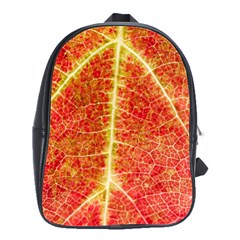 Plant Vineyard Wine Sunlight Texture Leaf Pattern Green Red Color Macro Autumn Circle Vein Sunny  School Bag (large) by Vaneshart