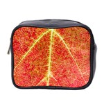 Plant Vineyard Wine Sunlight Texture Leaf Pattern Green Red Color Macro Autumn Circle Vein Sunny  Mini Toiletries Bag (Two Sides) Front