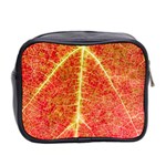 Plant Vineyard Wine Sunlight Texture Leaf Pattern Green Red Color Macro Autumn Circle Vein Sunny  Mini Toiletries Bag (Two Sides) Back