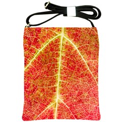 Plant Vineyard Wine Sunlight Texture Leaf Pattern Green Red Color Macro Autumn Circle Vein Sunny  Shoulder Sling Bag by Vaneshart