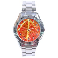 Plant Vineyard Wine Sunlight Texture Leaf Pattern Green Red Color Macro Autumn Circle Vein Sunny  Stainless Steel Analogue Watch by Vaneshart