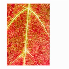 Plant Vineyard Wine Sunlight Texture Leaf Pattern Green Red Color Macro Autumn Circle Vein Sunny  Small Garden Flag (two Sides) by Vaneshart