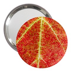 Plant Vineyard Wine Sunlight Texture Leaf Pattern Green Red Color Macro Autumn Circle Vein Sunny  3  Handbag Mirrors by Vaneshart