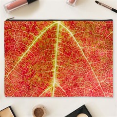 Plant Vineyard Wine Sunlight Texture Leaf Pattern Green Red Color Macro Autumn Circle Vein Sunny  Cosmetic Bag (xxxl) by Vaneshart