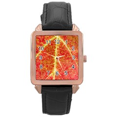 Plant Vineyard Wine Sunlight Texture Leaf Pattern Green Red Color Macro Autumn Circle Vein Sunny  Rose Gold Leather Watch  by Vaneshart