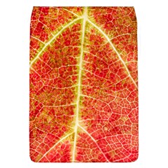 Plant Vineyard Wine Sunlight Texture Leaf Pattern Green Red Color Macro Autumn Circle Vein Sunny  Removable Flap Cover (l) by Vaneshart