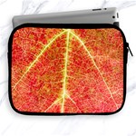 Plant Vineyard Wine Sunlight Texture Leaf Pattern Green Red Color Macro Autumn Circle Vein Sunny  Apple iPad 2/3/4 Zipper Cases Front