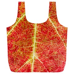 Plant Vineyard Wine Sunlight Texture Leaf Pattern Green Red Color Macro Autumn Circle Vein Sunny  Full Print Recycle Bag (xl) by Vaneshart