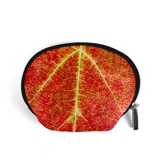 Plant Vineyard Wine Sunlight Texture Leaf Pattern Green Red Color Macro Autumn Circle Vein Sunny  Accessory Pouch (small) by Vaneshart