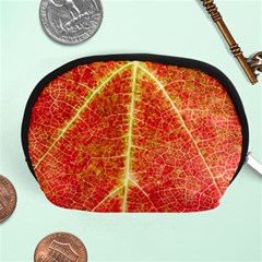 Plant Vineyard Wine Sunlight Texture Leaf Pattern Green Red Color Macro Autumn Circle Vein Sunny  Accessory Pouch (medium) by Vaneshart