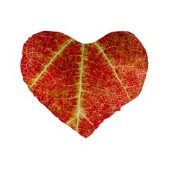 Plant Vineyard Wine Sunlight Texture Leaf Pattern Green Red Color Macro Autumn Circle Vein Sunny  Standard 16  Premium Flano Heart Shape Cushions by Vaneshart