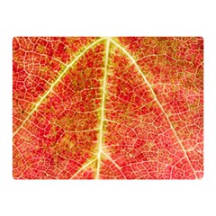 Plant Vineyard Wine Sunlight Texture Leaf Pattern Green Red Color Macro Autumn Circle Vein Sunny  Double Sided Flano Blanket (mini)  by Vaneshart