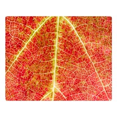 Plant Vineyard Wine Sunlight Texture Leaf Pattern Green Red Color Macro Autumn Circle Vein Sunny  Double Sided Flano Blanket (large)  by Vaneshart