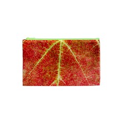 Plant Vineyard Wine Sunlight Texture Leaf Pattern Green Red Color Macro Autumn Circle Vein Sunny  Cosmetic Bag (xs) by Vaneshart