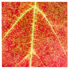 Plant Vineyard Wine Sunlight Texture Leaf Pattern Green Red Color Macro Autumn Circle Vein Sunny  Wooden Puzzle Square by Vaneshart