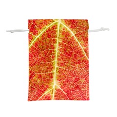 Plant Vineyard Wine Sunlight Texture Leaf Pattern Green Red Color Macro Autumn Circle Vein Sunny  Lightweight Drawstring Pouch (s) by Vaneshart