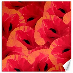 Poppies  Canvas 20  X 20  by HelgaScand