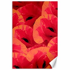 Poppies  Canvas 24  X 36  by HelgaScand