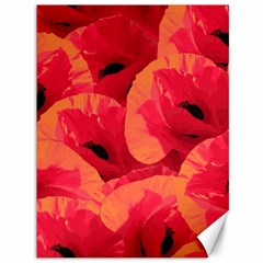 Poppies  Canvas 36  X 48  by HelgaScand