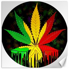 Cannabis Leaf Color Canvas 12  X 12  by Vaneshart