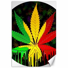 Cannabis Leaf Color Canvas 20  X 30  by Vaneshart