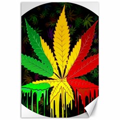 Cannabis Leaf Color Canvas 24  X 36  by Vaneshart