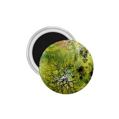 Abstract Spots Lines Green 1 75  Magnets by Vaneshart