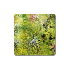 Abstract Spots Lines Green Square Magnet by Vaneshart