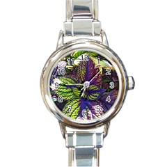 Dark Coleus Round Italian Charm Watch by Riverwoman