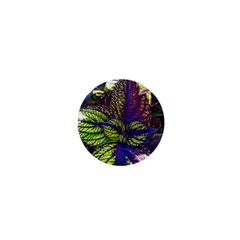 Dark Coleus 1  Mini Buttons by Riverwoman