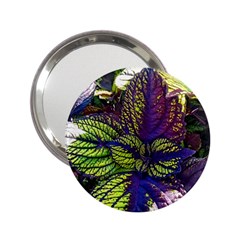 Dark Coleus 2 25  Handbag Mirrors by Riverwoman