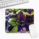 Dark coleus Large Mousepads Front