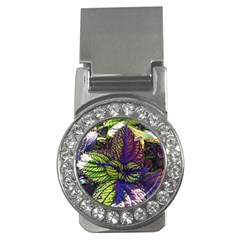 Dark Coleus Money Clips (cz)  by Riverwoman