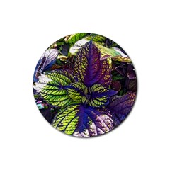 Dark Coleus Rubber Coaster (round)  by Riverwoman