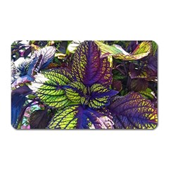 Dark Coleus Magnet (rectangular) by Riverwoman