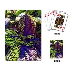 Dark Coleus Playing Cards Single Design (rectangle) by Riverwoman