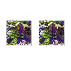 Dark Coleus Cufflinks (square) by Riverwoman