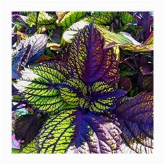 Dark Coleus Medium Glasses Cloth by Riverwoman