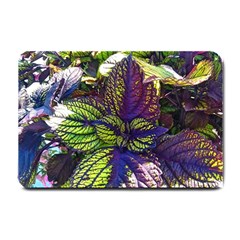 Dark Coleus Small Doormat  by Riverwoman