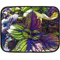 Dark Coleus Double Sided Fleece Blanket (mini)  by Riverwoman